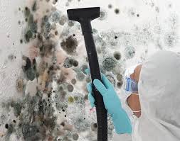 Best Forensic Mold Investigation  in Moscow, ID